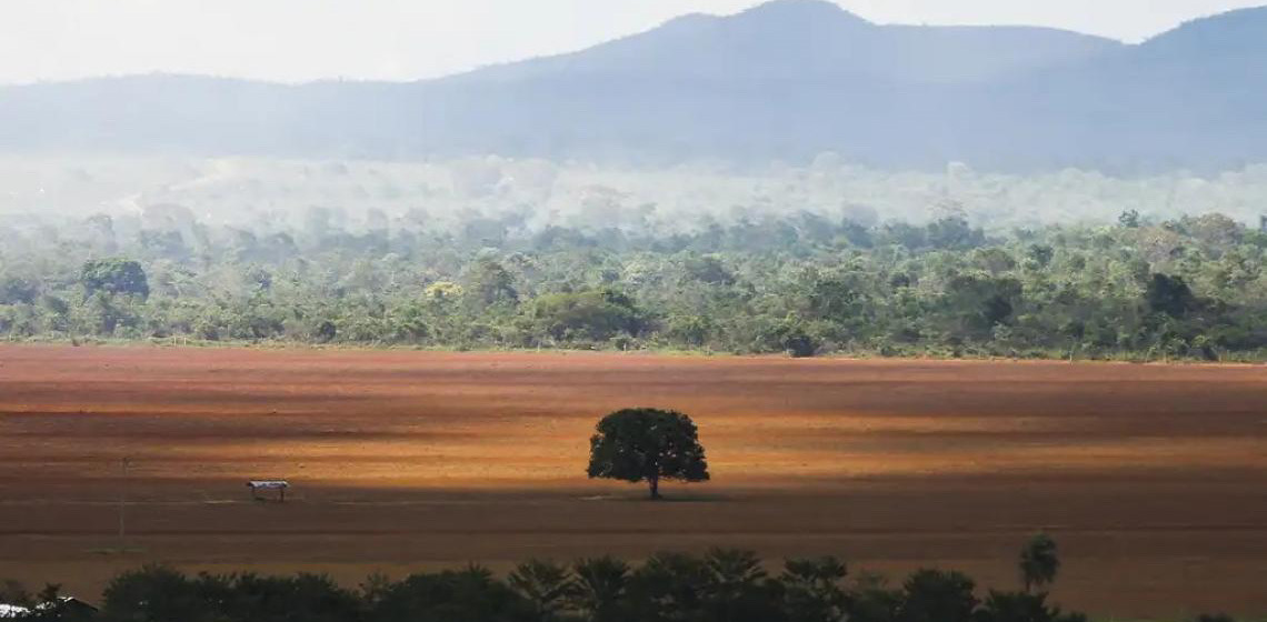 Ibama receberá 825,7 milhões para combate ao desmatamento ilegal