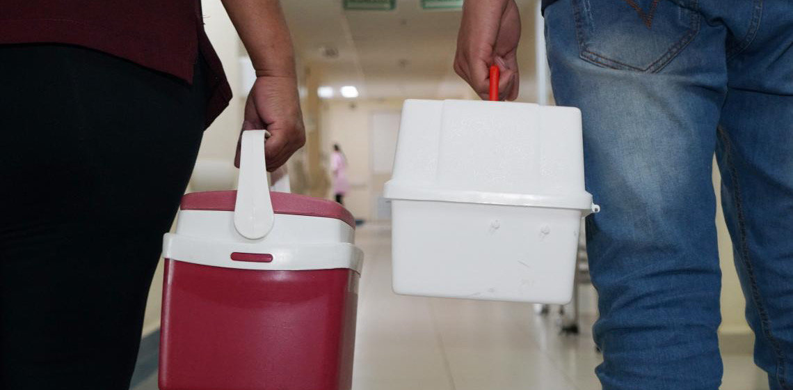 Brasil bate recorde histórico de transplantes realizados no SUS em 2024