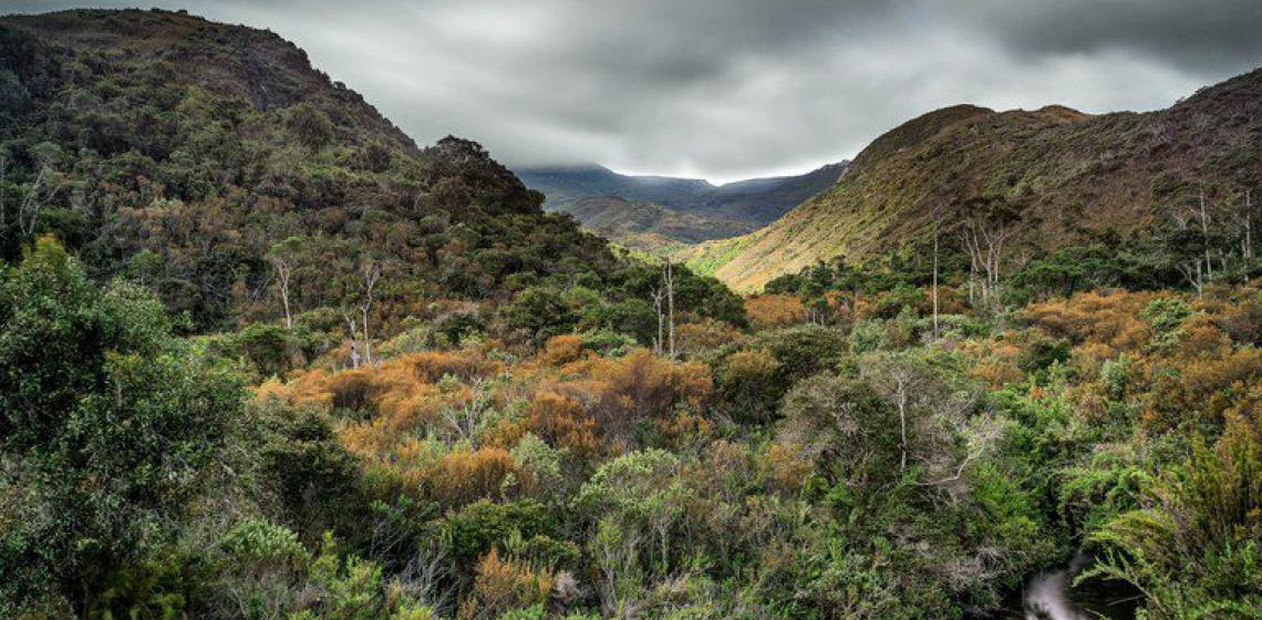 Governo federal institui seis Reservas Particulares do Patrimônio Natural