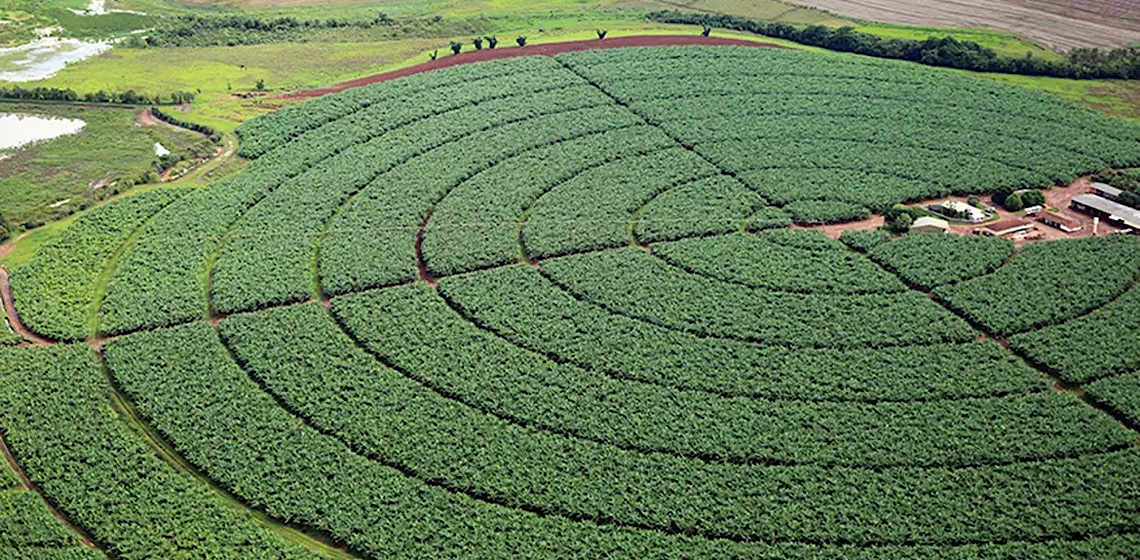 Brasil tem 35 mil drones utilizados na produção agrícola