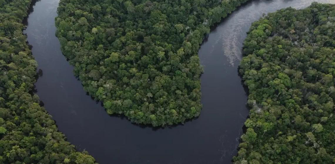 Florestas públicas não destinadas são ameaçadas por crimes ambientais