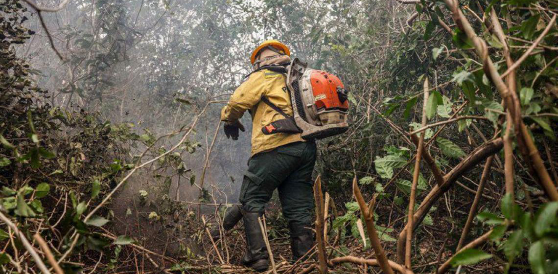Justiça bloqueia bens de fazendeiros que degradaram áreas no Pantanal