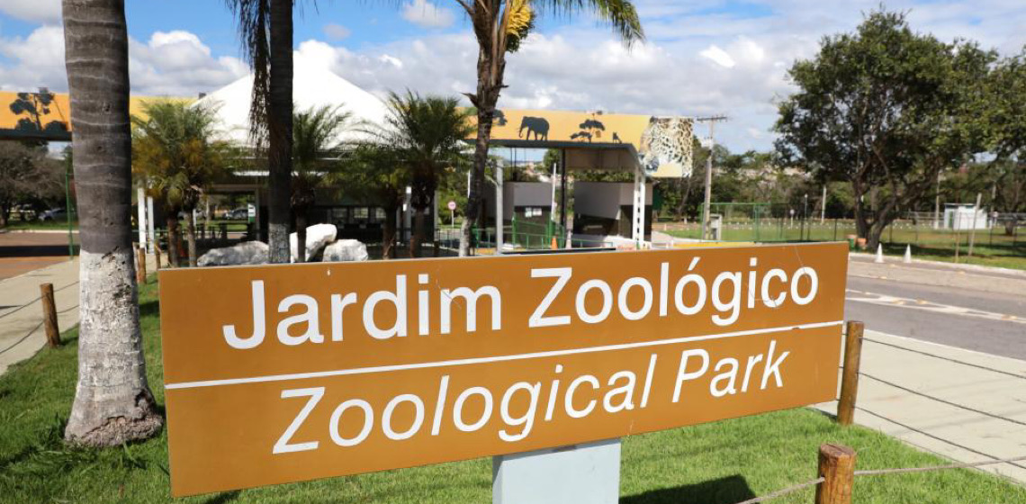 Nova suspeita de influenza aviária em animal do Zoológico de Brasília é investigada