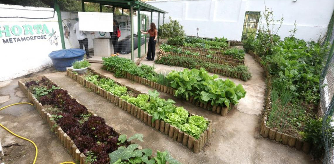 Tecnologia brasileira será levada à COP30 pelo Projeto Cozinhas Solidárias Sustentáveis