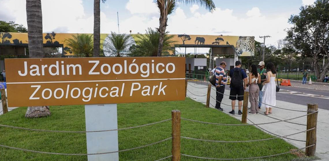 Laudo confirma caso de influenza aviária em ave silvestre do Zoológico de Brasília