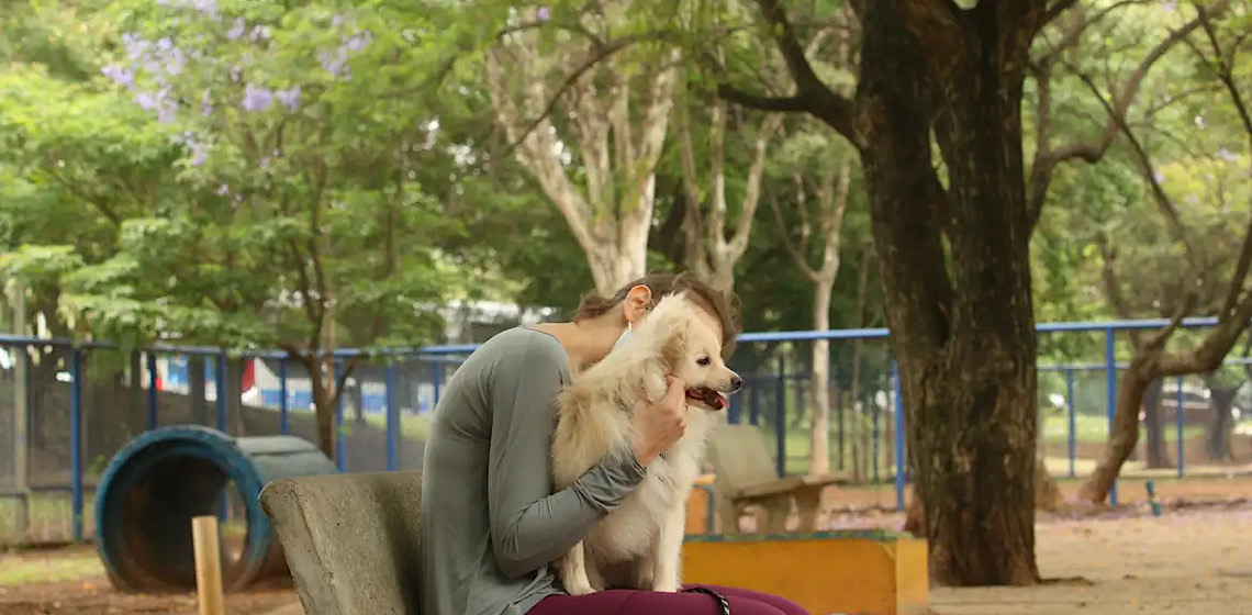 Cães agora podem ser testemunhas em casamentos oficiais em Nova York
