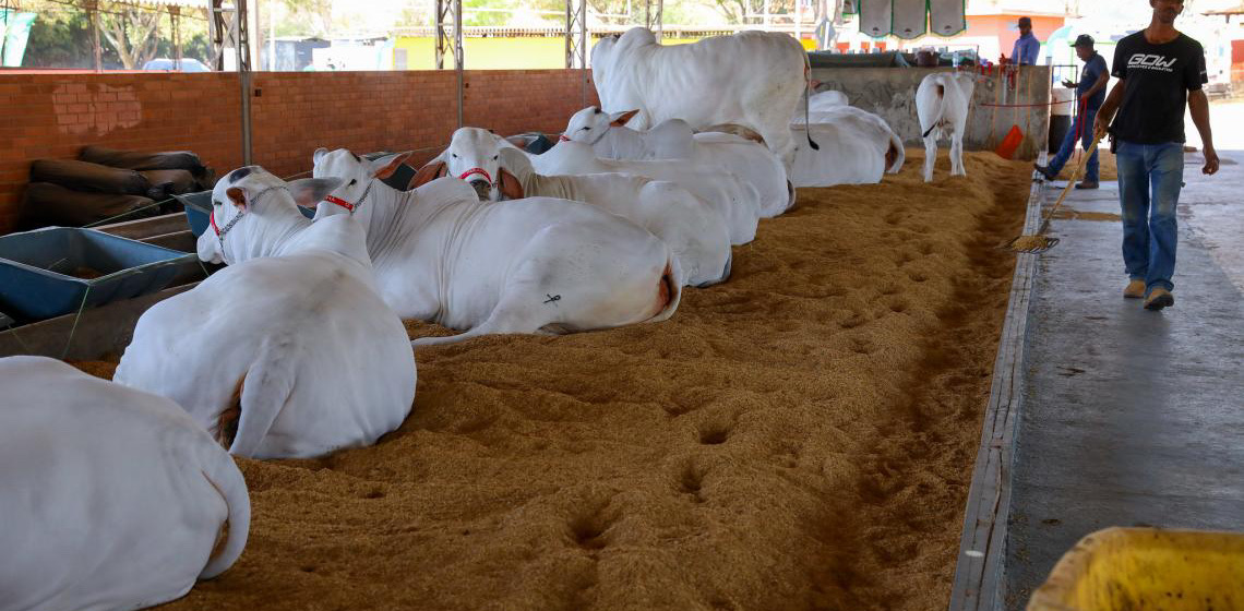 Feira agropecuária do Distrito Federal, Expoabra terá edição entre 29 de agosto e 7 de setembro