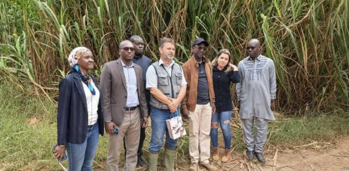 Fazenda Malunga e Senegal fortalecem parceria em prol da agricultura sustentável