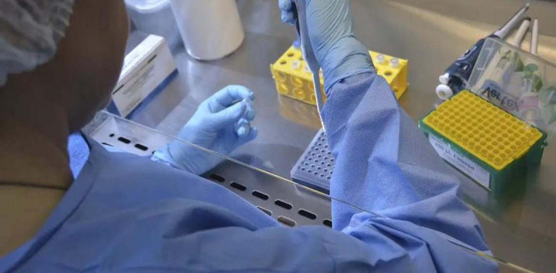 Anvisa publicou autorização do ensaio clínico para vacina da gripe aviária