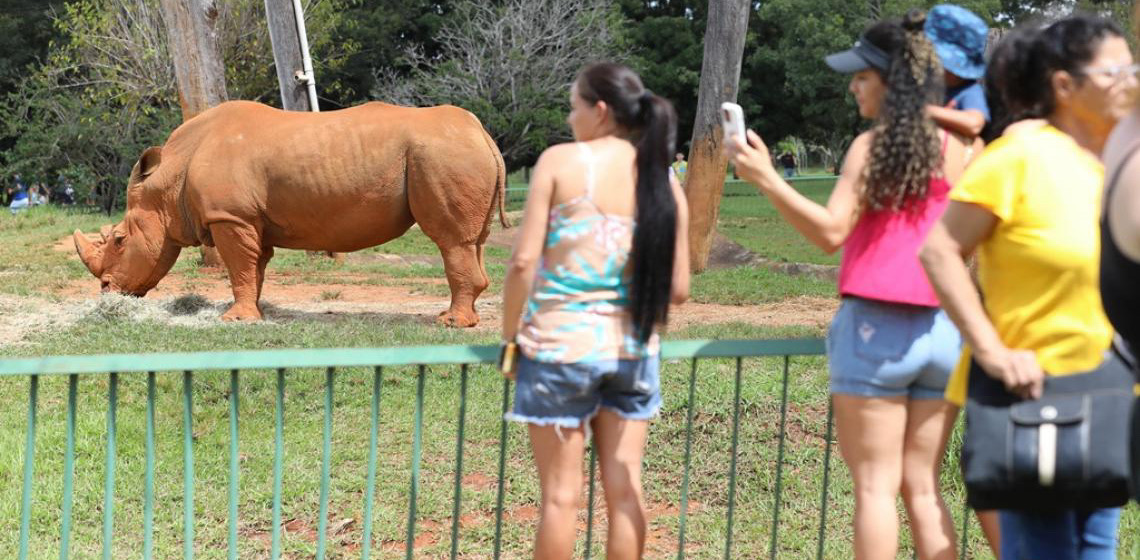 Zoo de Brasília faz força-tarefa de manutenção e adota novos protocolos para reabertura