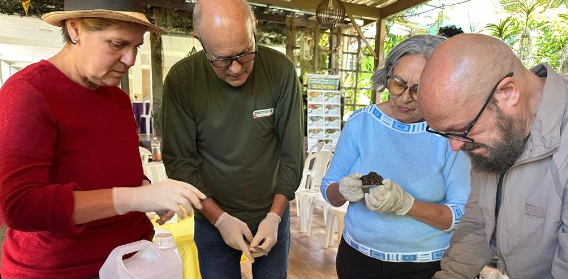 Criadores de abelhas sem ferrão participam de curso da Emater-DF sobre produção de própolis
