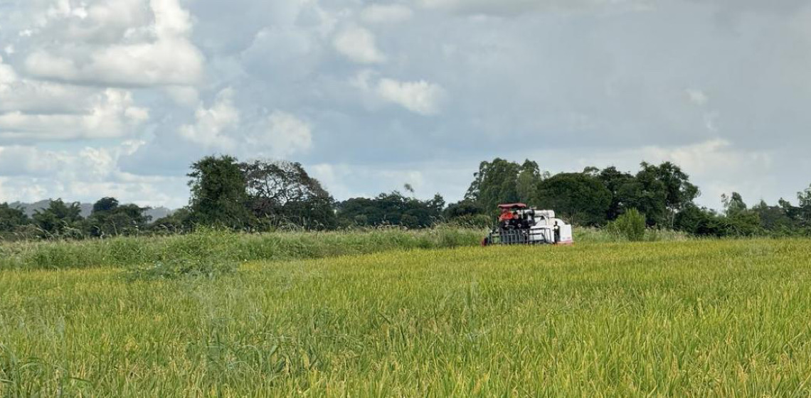 Estudo do Banco Mundial no Brasil propõe reduzir gastos para investir no meio ambiente
