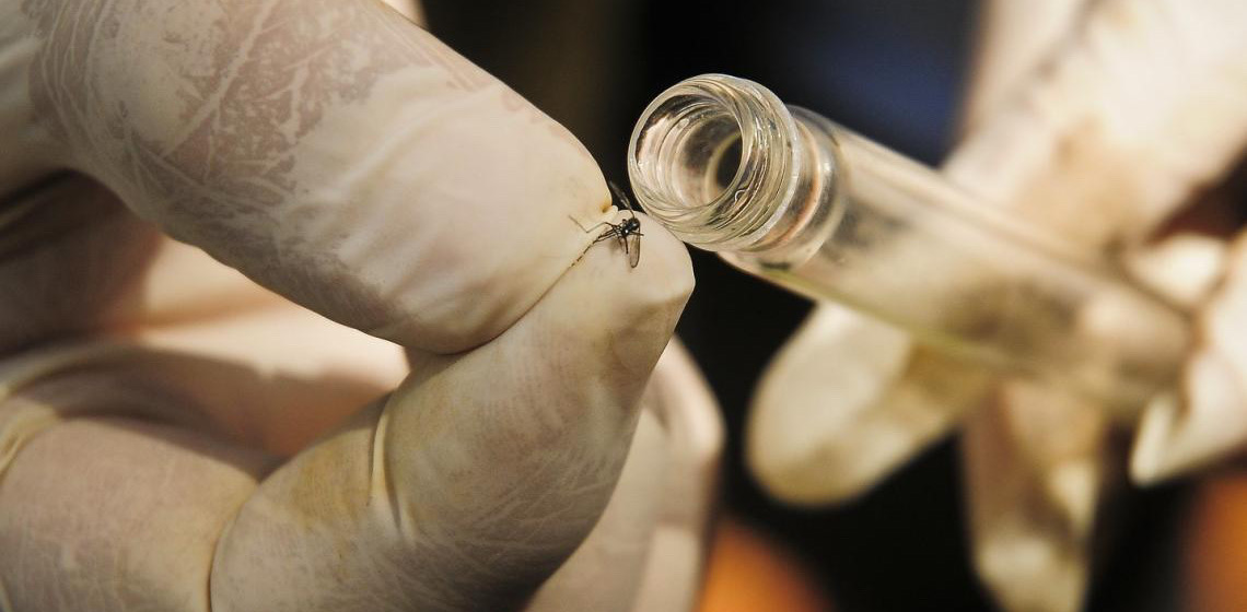 Saúde se prepara para implementar tecnologia complementar no combate à dengue