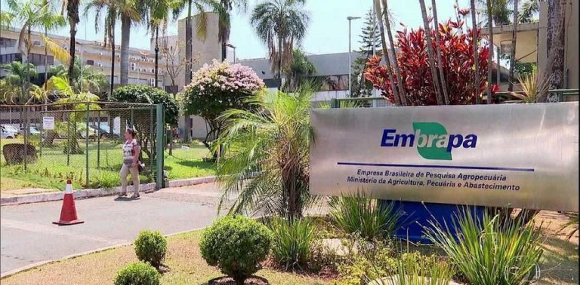 Vinte e quatro pesquisadores da Embrapa estão entre os mais citados do mundo