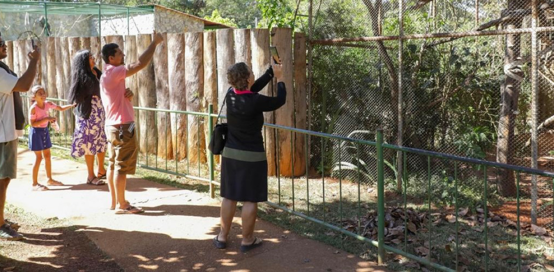Zoológico de Brasília reabre com funcionamento diário durante o mês de julho