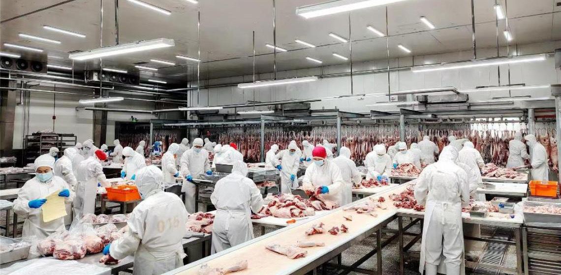 Carne bovina brasileira vira hot commodity entre empresas chinesas de abate