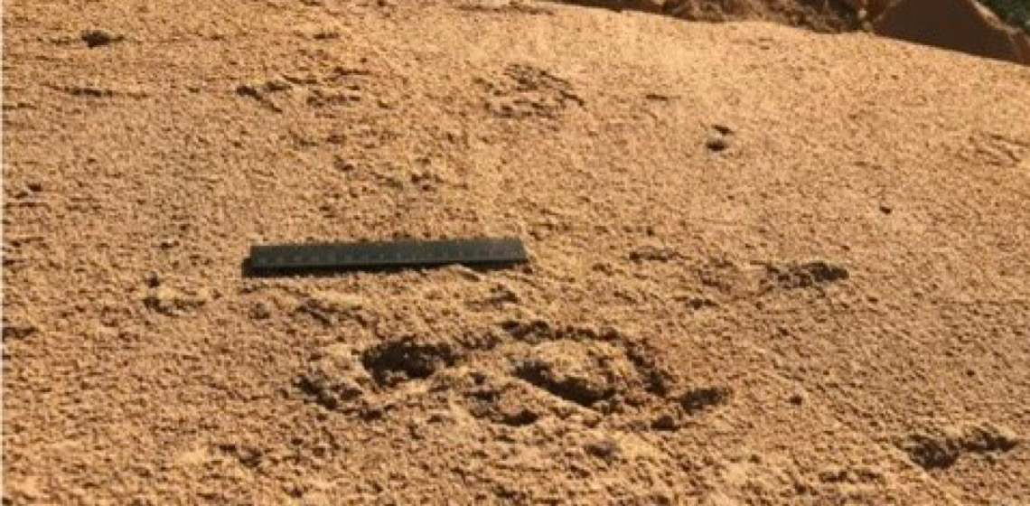 Encontradas pela 1ª vez em Portugal pegadas de neandertais de mais de 70 mil anos