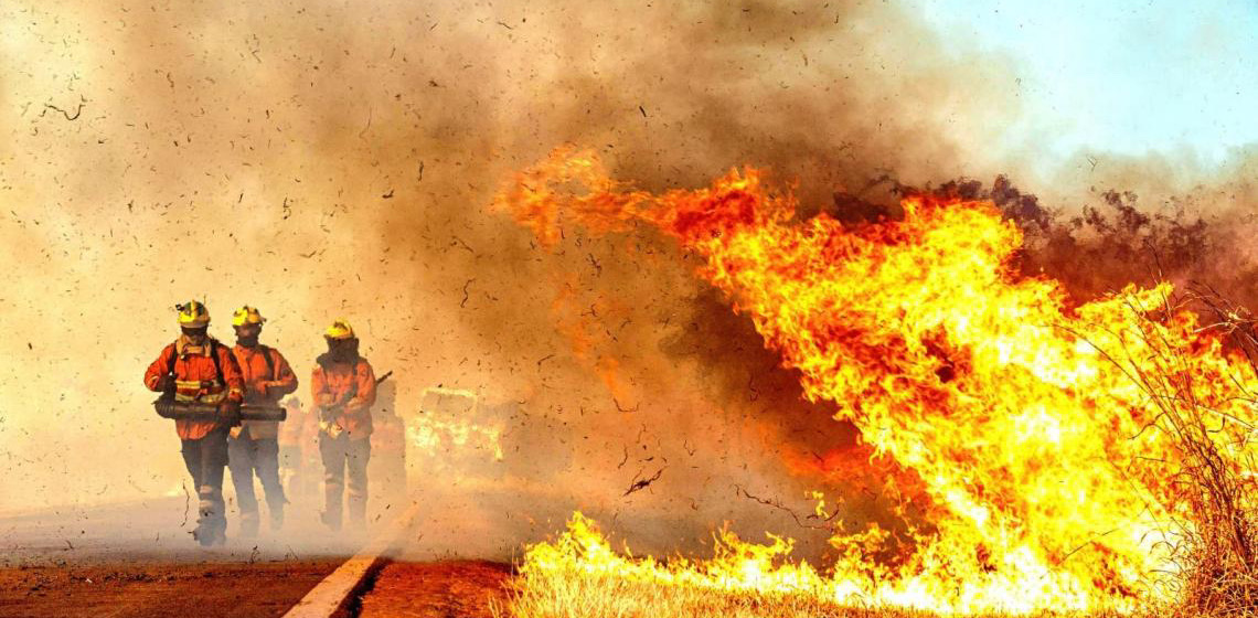Incêndios florestais diminuem 54% no DF no primeiro semestre de 2025
