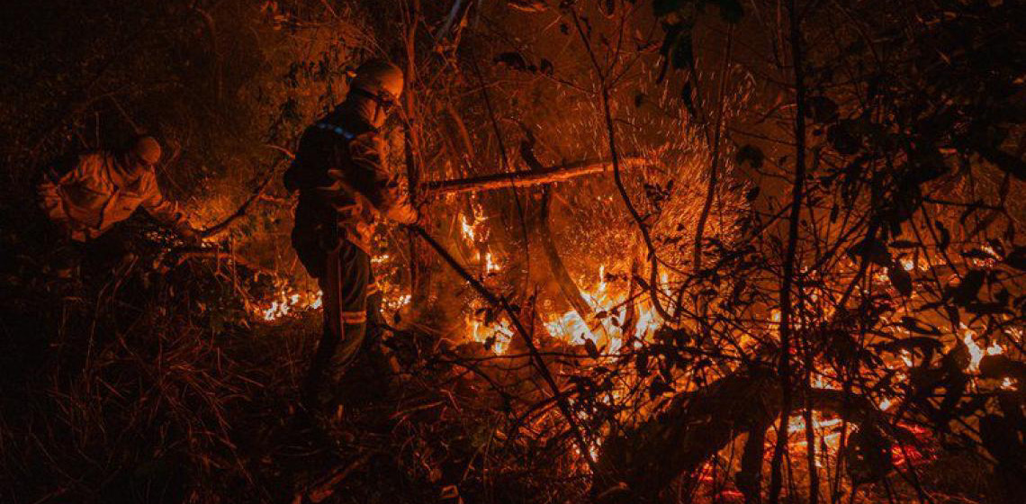 Fundo Amazônia aprova R$ 150 milhões para combate e prevenção a incêndios no Cerrado e no Pantanal