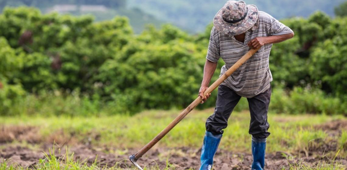 Programa Feira do Trabalho e do Campo fortalece economia solidária e cultura local