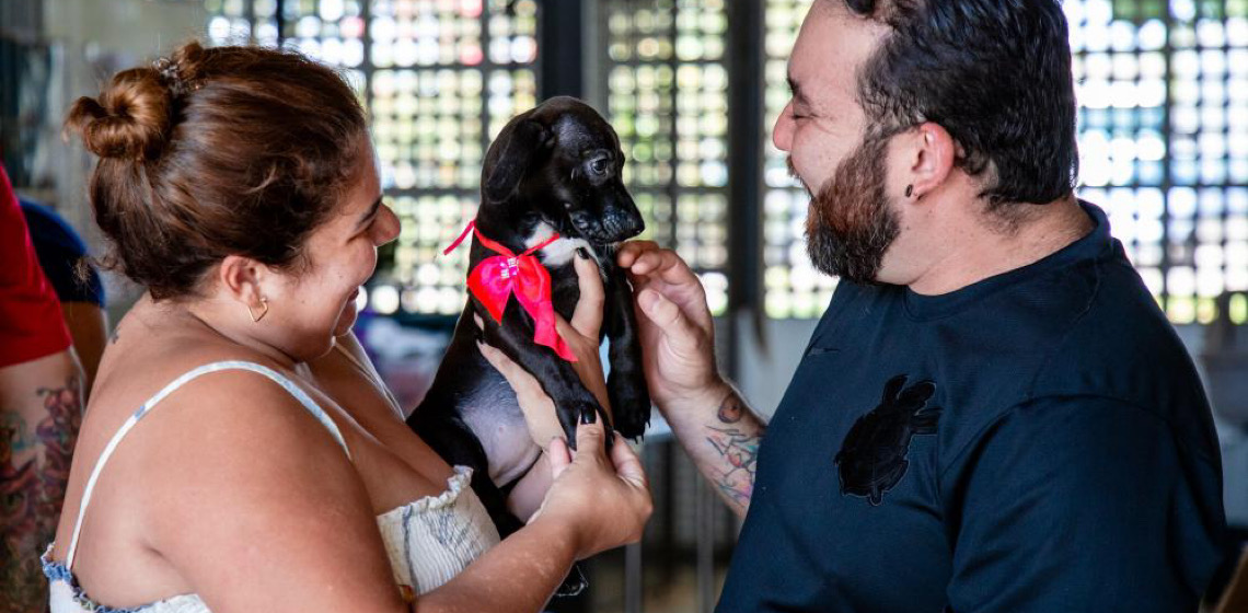 Mais da metade dos domicílios do Distrito Federal tem animal de estimação