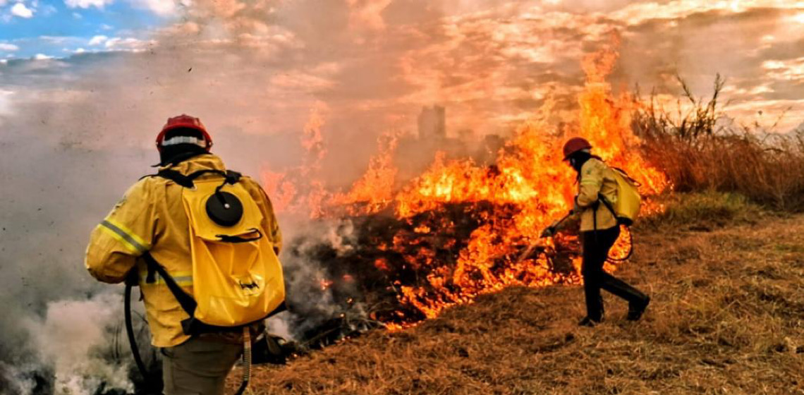 Distrito Federal amplia combate a incêndios florestais utilizando inteligência artificial