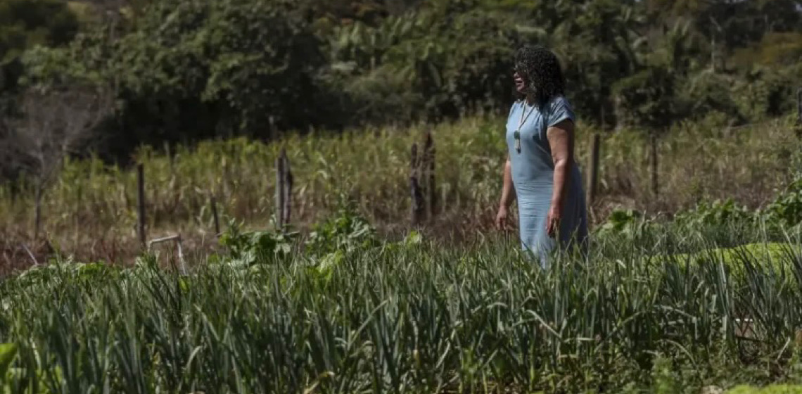 Em Goiás: Justiça determina regularização fundiária do Quilombo Mesquita em até 12 meses 