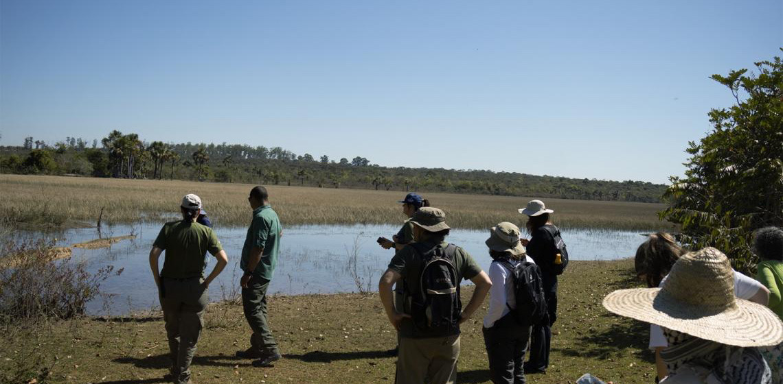Pesquisadores defendem indicação da Estação Ecológica de Águas Emendadas a Patrimônio Mundial Natural da Unesco