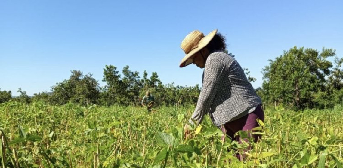 Quintais produtivos fortalecem autonomia de mulheres no campo e impulsiona agroecologia no Distrito Federal