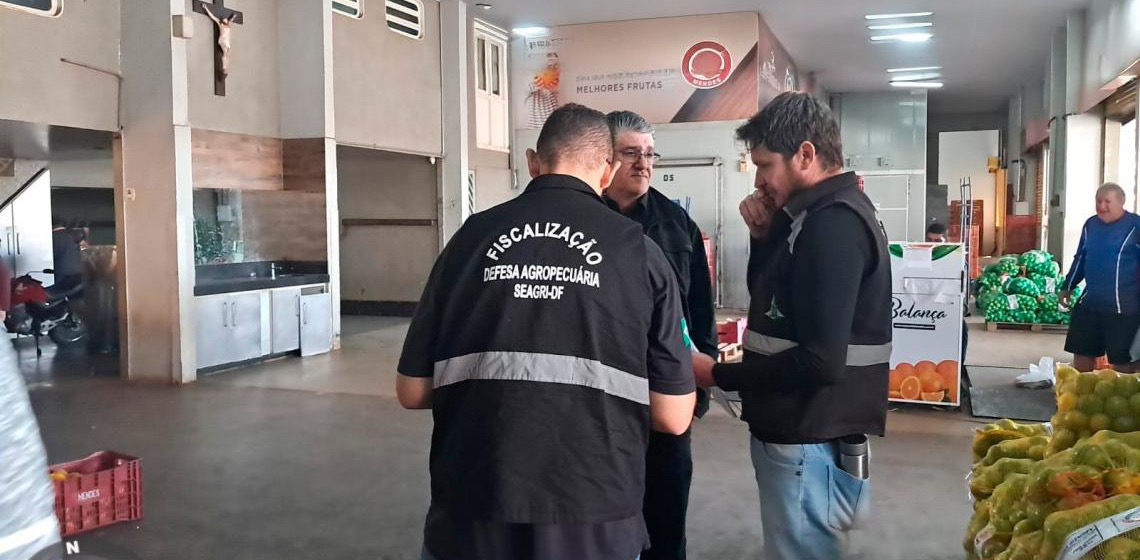Ação no Distrito Federal leva educação sanitária ao Ceasa contra a mosca-da-carambola
