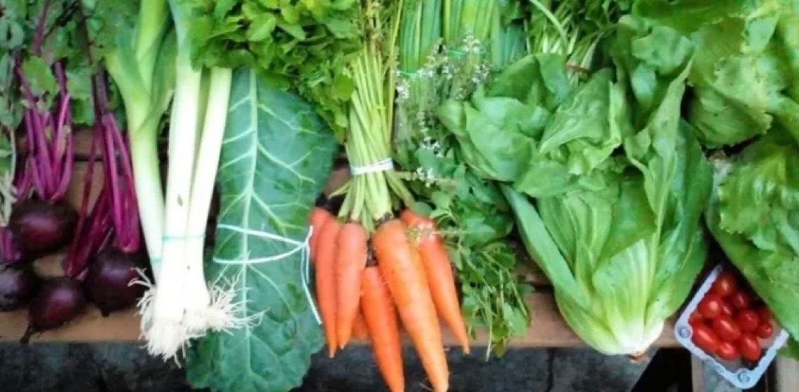 Congresso inédito de agricultura orgânica é classificado como ‘revolucionário’