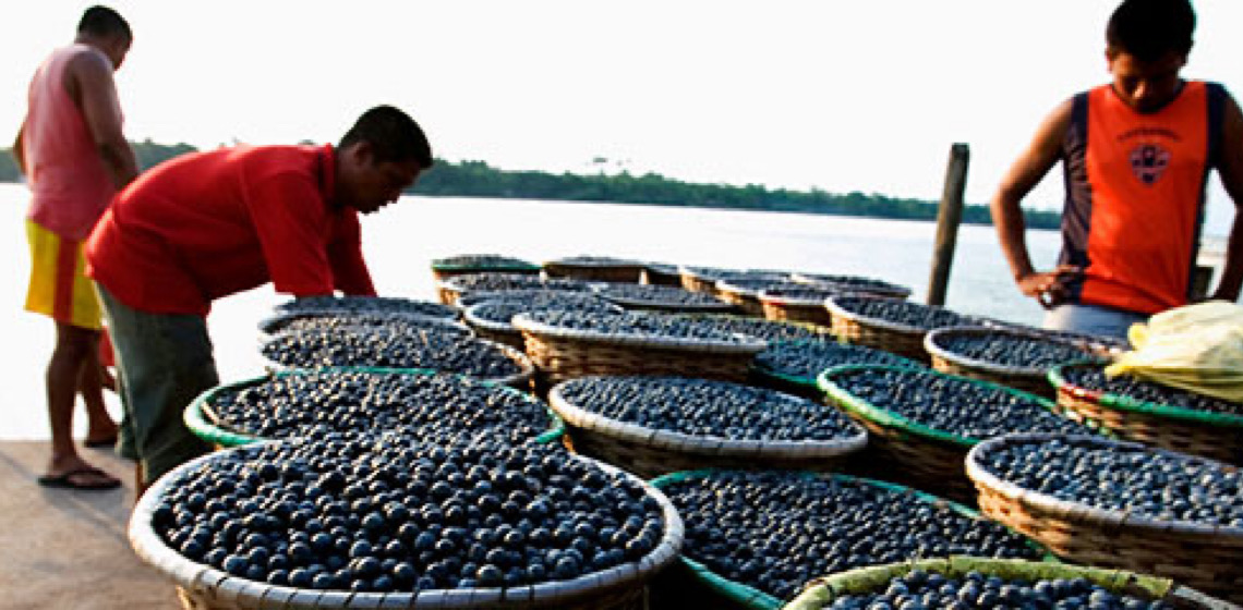 Manga, uvas e açaí não escapam de tarifaço e setor diz que busca novo acordo