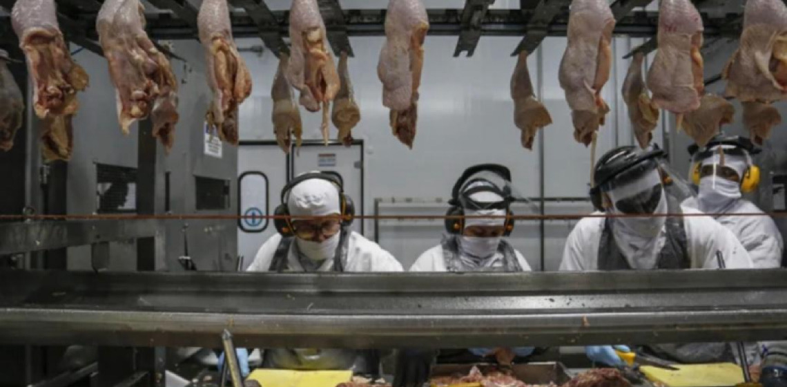 Justiça manda Seara retirar grávidas de ambientes com temperaturas abaixo de 12º C
