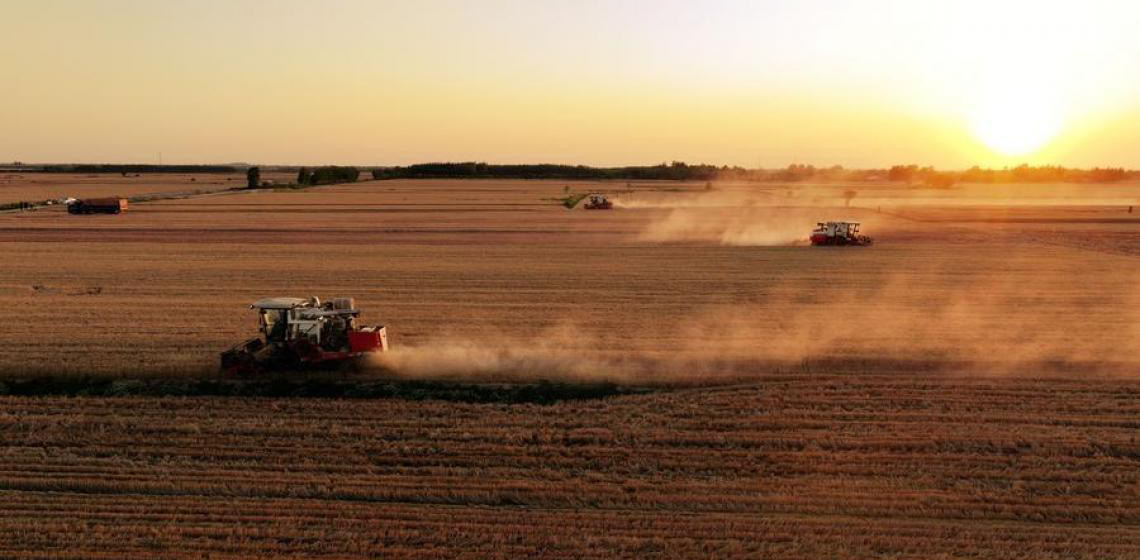 Ferramentas agrícolas inteligentes prontas para ajudar a reduzir perdas de grãos na China