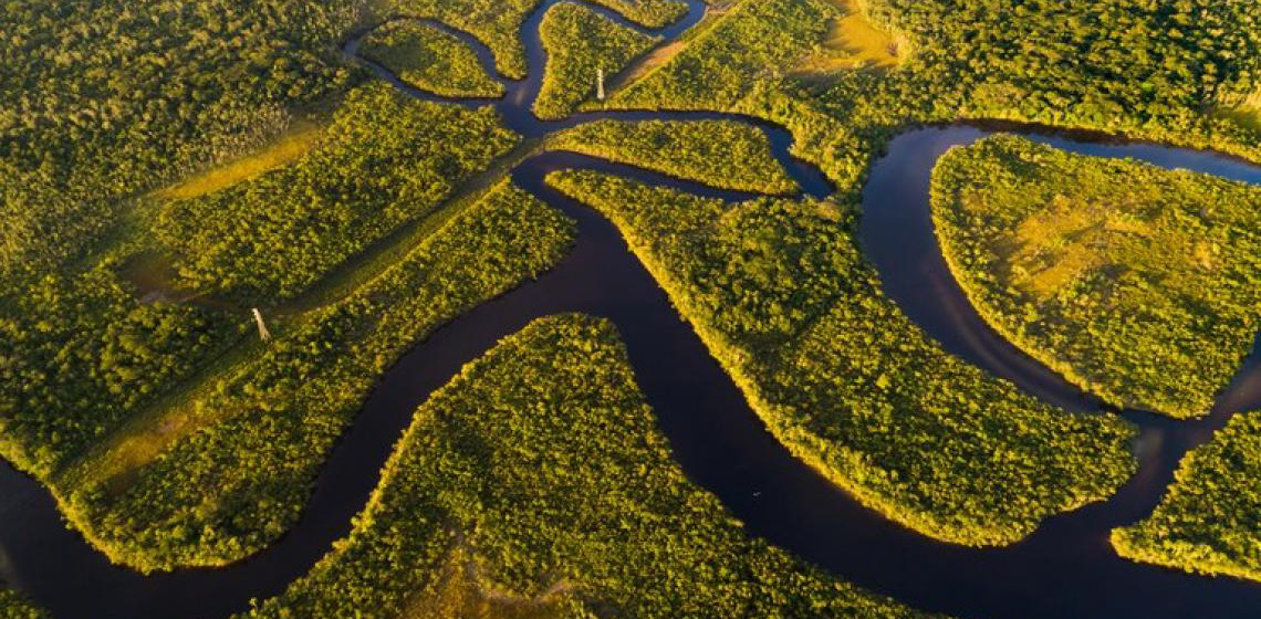 Desmatamento no Pará cai pela metade em 3 anos, mas ainda representa desafio