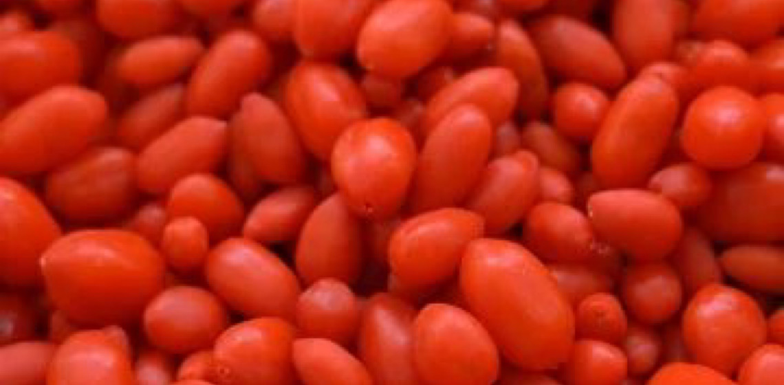 Produção da fruta goji em Xinjiang é exemplo de Revitalização Rural chinesa