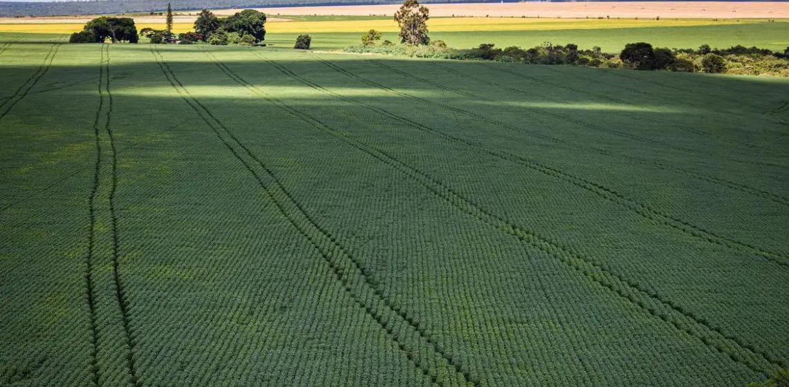 COP30: Agro quer se posicionar como parte da solução, diz Associação Brasileira do Agronegócio