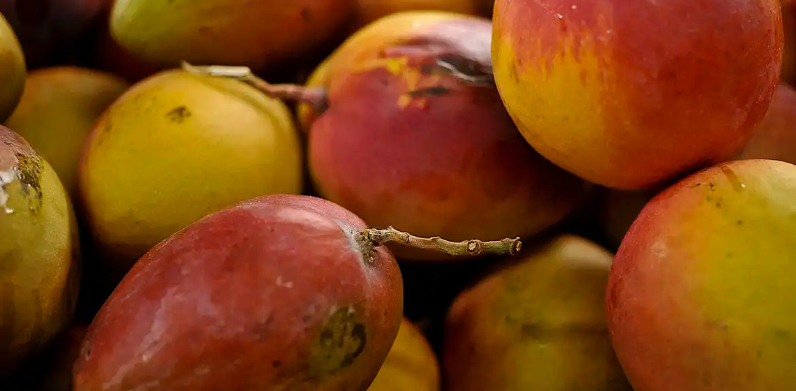 Abrafrutas apoia plano e pede atenção a pequenos produtores 