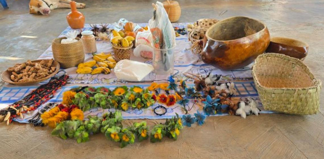 Expedição une ciência e saberes tradicionais indígenas para resgatar alimentos