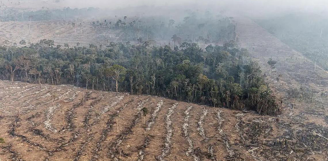 Apenas 7% de ações judiciais de grilagem na Amazônia têm condenação