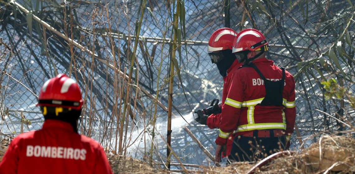 Incêndios florestais em Portugal queimam 139 mil hectares até meados de agosto