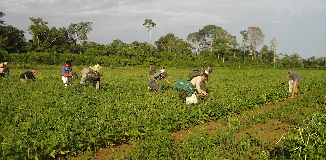 Programa AgroAmigo oferece R$ 1 bilhão em microcrédito 