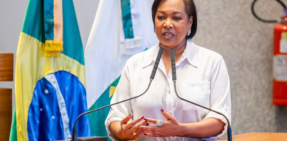 Distritais reclamam que Governo do DF não aplica leis contra o feminicídio