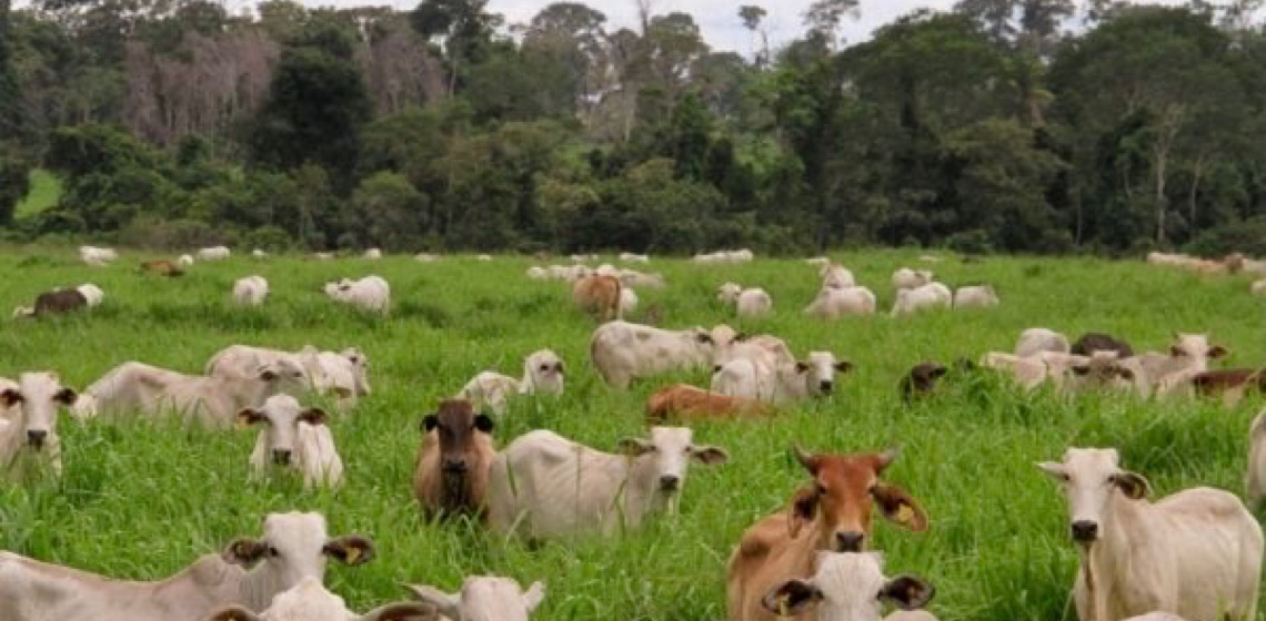 Puxadas pelo agro, emissões de gases de efeito estufa sobem 6% no Brasil