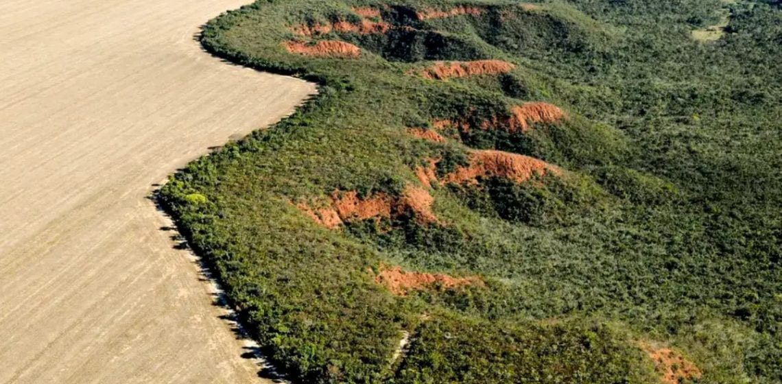 Por  Afonso Peche Filho: Alienação, destrutividade na agricultura brasileira e a possibilidade de transformação
