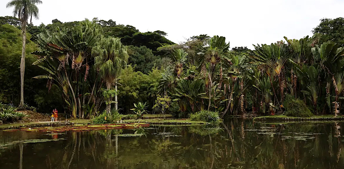 Concurso de Fotografia integra programação do Dia Mundial da Limpeza