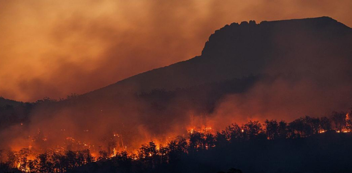 Estudo revela que África suporta maior fardo de exposição a incêndios florestais