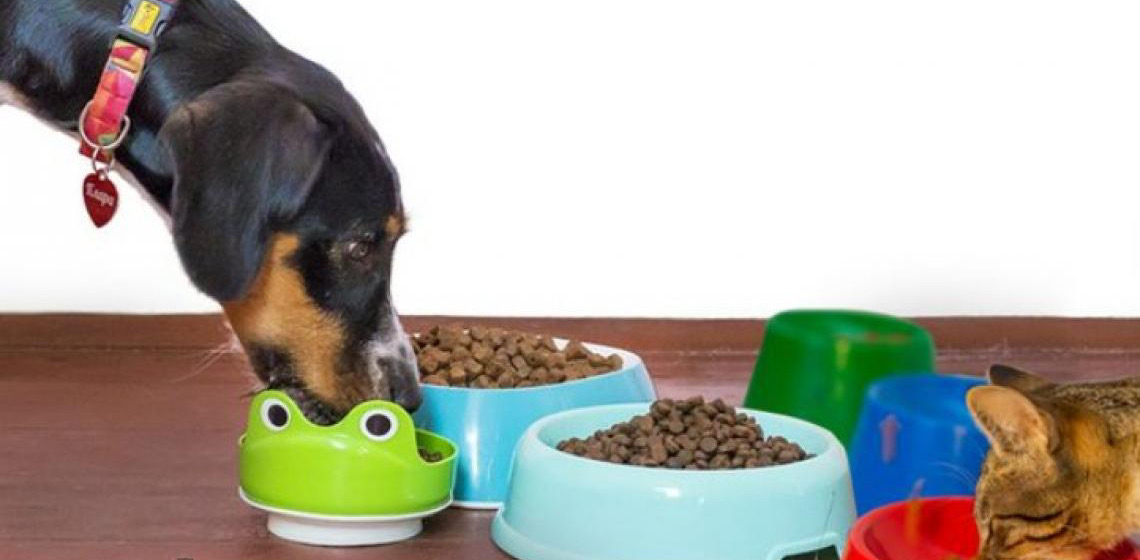 Japão vai comprar 'pet food' produzida no Brasil