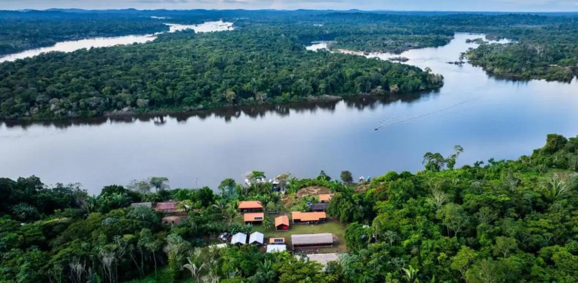BNDES lança edital voltado para recuperação da floresta amazônica