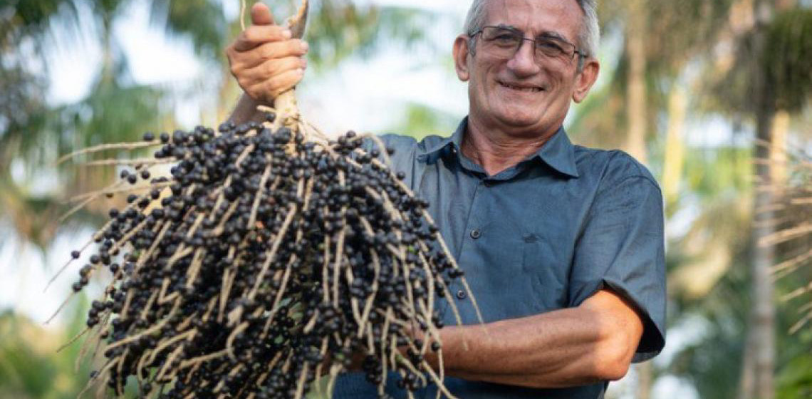 MEC investe R$ 13 mi em cursos de bioeconomia para trabalhadores da região amazônica